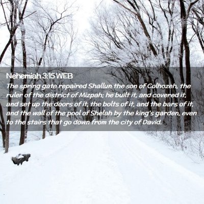 Picture 02 - Nehemiah 3:15 WEB - The spring gate repaired Shallun the son of - Bible Verse Picture