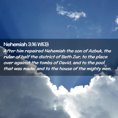 Picture 02 - Nehemiah 3:16 WEB - After him repaired Nehemiah the son of Azbuk, the - Bible Verse Picture