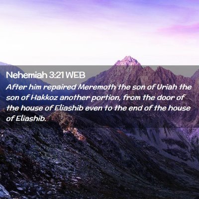 Picture 02 - Nehemiah 3:21 WEB - After him repaired Meremoth the son of Uriah the - Bible Verse Picture