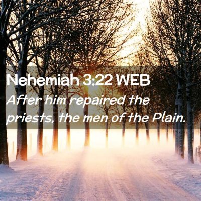 Picture 02 - Nehemiah 3:22 WEB - After him repaired the priests, the men of the - Bible Verse Picture