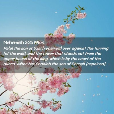 Picture 02 - Nehemiah 3:25 WEB - Palal the son of Uzai [repaired] over against the - Bible Verse Picture