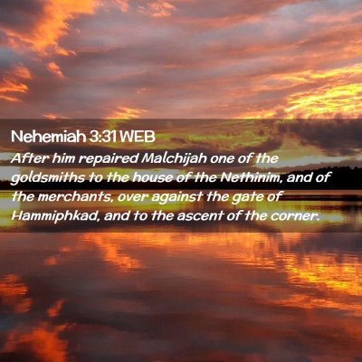 Picture 02 - Nehemiah 3:31 WEB - After him repaired Malchijah one of the - Bible Verse Picture