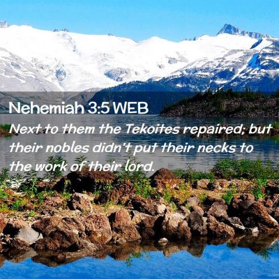 Picture 02 - Nehemiah 3:5 WEB - Next to them the Tekoites repaired; but their - Bible Verse Picture