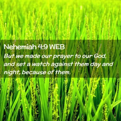 Picture 02 - Nehemiah 4:9 WEB - But we made our prayer to our God, and set a - Bible Verse Picture