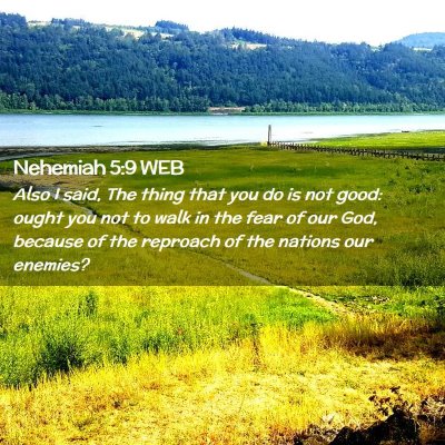 Picture 02 - Nehemiah 5:9 WEB - Also I said, The thing that you do is not good: - Bible Verse Picture