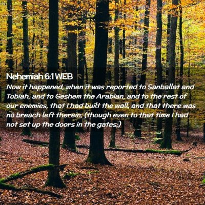 Picture 02 - Nehemiah 6:1 WEB - Now it happened, when it was reported to - Bible Verse Picture