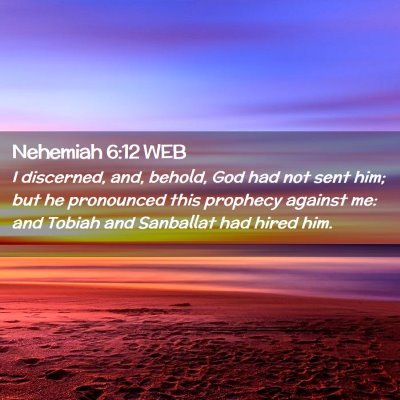 Picture 02 - Nehemiah 6:12 WEB - I discerned, and, behold, God had not sent him; - Bible Verse Picture