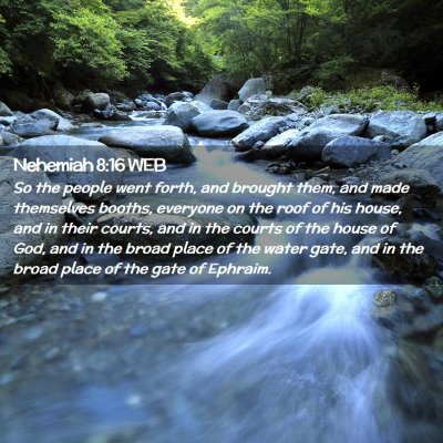 Picture 02 - Nehemiah 8:16 WEB - So the people went forth, and brought them, and - Bible Verse Picture