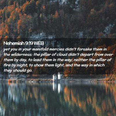 Picture 02 - Nehemiah 9:19 WEB - yet you in your manifold mercies didn't forsake - Bible Verse Picture