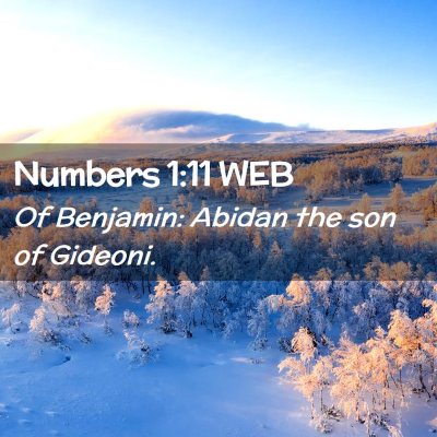 Picture 02 - Numbers 1:11 WEB - Of Benjamin: Abidan the son of - Bible Verse Picture