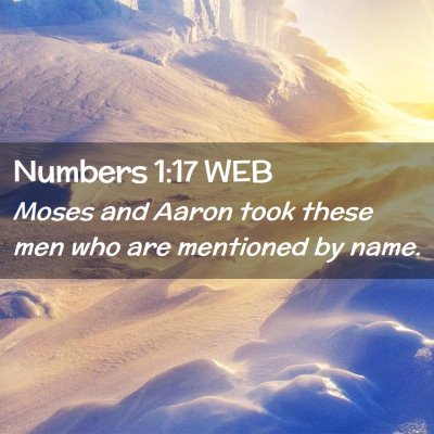 Picture 02 - Numbers 1:17 WEB - Moses and Aaron took these men who are mentioned - Bible Verse Picture