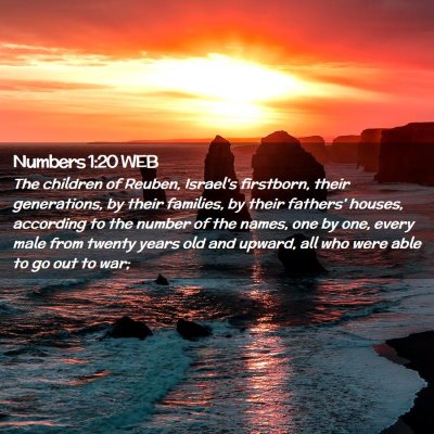 Picture 02 - Numbers 1:20 WEB - The children of Reuben, Israel's firstborn, their - Bible Verse Picture