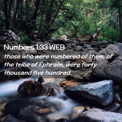 Picture 02 - Numbers 1:33 WEB - those who were numbered of them, of the tribe of - Bible Verse Picture