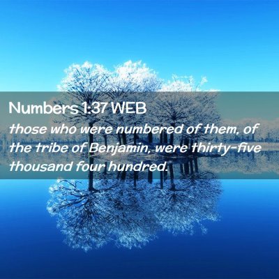 Picture 02 - Numbers 1:37 WEB - those who were numbered of them, of the tribe of - Bible Verse Picture