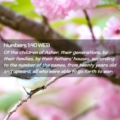 Picture 02 - Numbers 1:40 WEB - Of the children of Asher, their generations, by - Bible Verse Picture