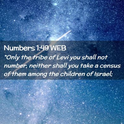 Picture 02 - Numbers 1:49 WEB - 