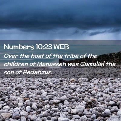 Picture 02 - Numbers 10:23 WEB - Over the host of the tribe of the children of - Bible Verse Picture