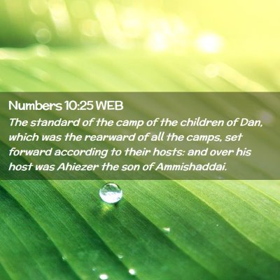 Picture 02 - Numbers 10:25 WEB - The standard of the camp of the children of Dan, - Bible Verse Picture