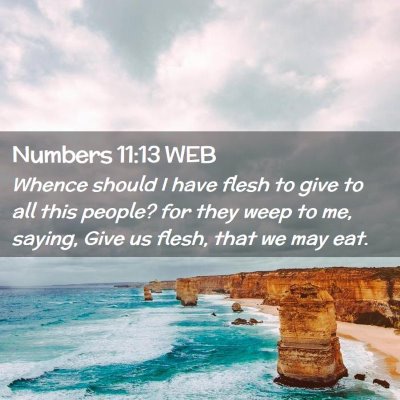 Picture 02 - Numbers 11:13 WEB - Whence should I have flesh to give to all this - Bible Verse Picture