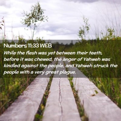 Picture 02 - Numbers 11:33 WEB - While the flesh was yet between their teeth, - Bible Verse Picture