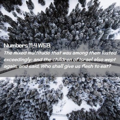 Picture 02 - Numbers 11:4 WEB - The mixed multitude that was among them lusted - Bible Verse Picture