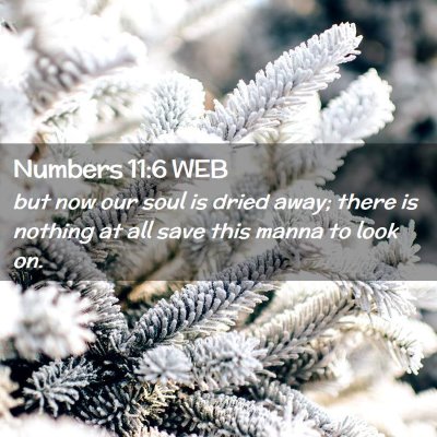 Picture 02 - Numbers 11:6 WEB - but now our soul is dried away; there is nothing - Bible Verse Picture