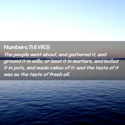 Picture 02 - Numbers 11:8 WEB - The people went about, and gathered it, and - Bible Verse Picture