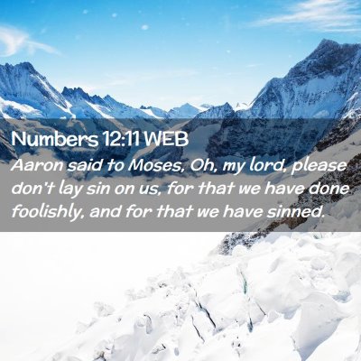 Picture 02 - Numbers 12:11 WEB - Aaron said to Moses, Oh, my lord, please don't - Bible Verse Picture