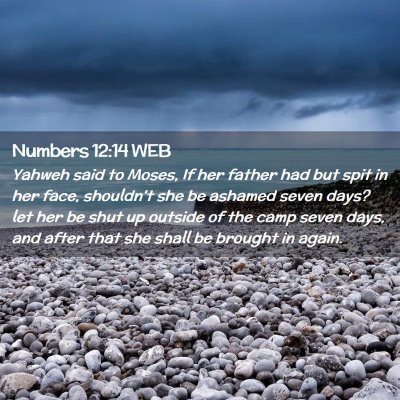 Picture 02 - Numbers 12:14 WEB - Yahweh said to Moses, If her father had but spit - Bible Verse Picture
