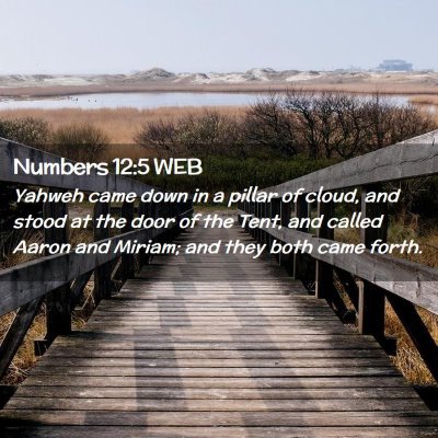 Picture 02 - Numbers 12:5 WEB - Yahweh came down in a pillar of cloud, and stood - Bible Verse Picture