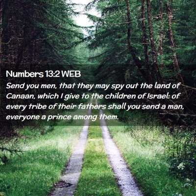 Picture 02 - Numbers 13:2 WEB - Send you men, that they may spy out the land of - Bible Verse Picture