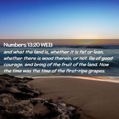 Picture 02 - Numbers 13:20 WEB - and what the land is, whether it is fat or lean, - Bible Verse Picture