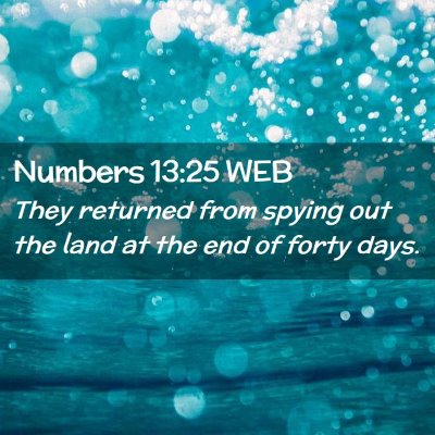 Picture 02 - Numbers 13:25 WEB - They returned from spying out the land at the end - Bible Verse Picture