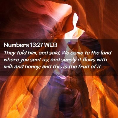Picture 02 - Numbers 13:27 WEB - They told him, and said, We came to the land - Bible Verse Picture