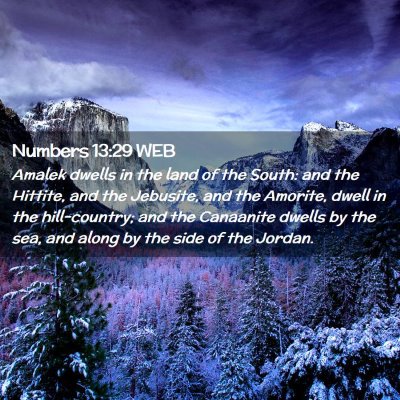 Picture 02 - Numbers 13:29 WEB - Amalek dwells in the land of the South: and the - Bible Verse Picture