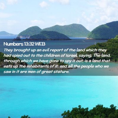 Picture 02 - Numbers 13:32 WEB - They brought up an evil report of the land which - Bible Verse Picture