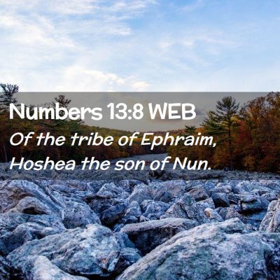 Picture 02 - Numbers 13:8 WEB - Of the tribe of Ephraim, Hoshea the son of - Bible Verse Picture