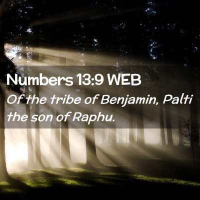 Picture 02 - Numbers 13:9 WEB - Of the tribe of Benjamin, Palti the son of - Bible Verse Picture