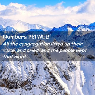 Picture 02 - Numbers 14:1 WEB - All the congregation lifted up their voice, and - Bible Verse Picture