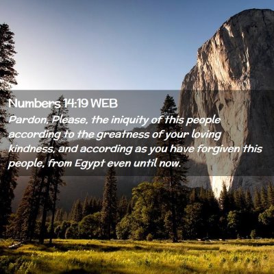 Picture 02 - Numbers 14:19 WEB - Pardon, Please, the iniquity of this people - Bible Verse Picture