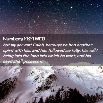 Picture 02 - Numbers 14:24 WEB - but my servant Caleb, because he had another - Bible Verse Picture