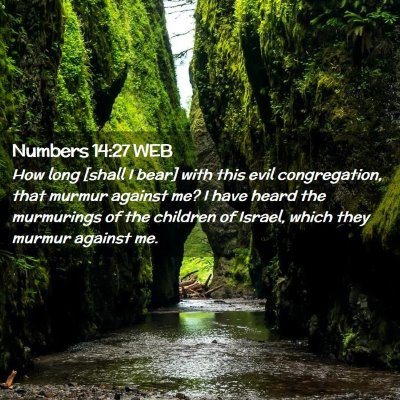 Picture 02 - Numbers 14:27 WEB - How long [shall I bear] with this evil - Bible Verse Picture