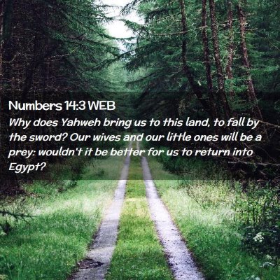 Picture 02 - Numbers 14:3 WEB - Why does Yahweh bring us to this land, to fall by - Bible Verse Picture