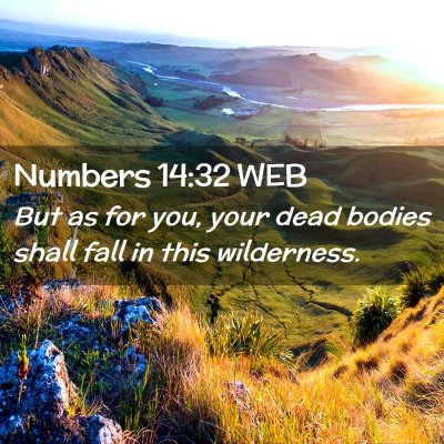 Picture 02 - Numbers 14:32 WEB - But as for you, your dead bodies shall fall in - Bible Verse Picture