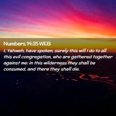 Picture 02 - Numbers 14:35 WEB - I, Yahweh, have spoken, surely this will I do to - Bible Verse Picture