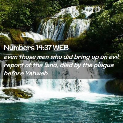 Picture 02 - Numbers 14:37 WEB - even those men who did bring up an evil report of - Bible Verse Picture