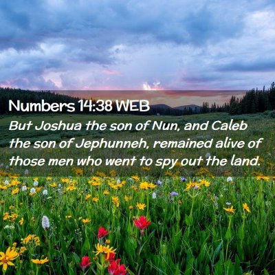 Picture 02 - Numbers 14:38 WEB - But Joshua the son of Nun, and Caleb the son of - Bible Verse Picture