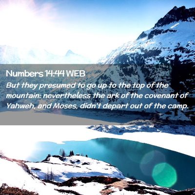 Picture 02 - Numbers 14:44 WEB - But they presumed to go up to the top of the - Bible Verse Picture