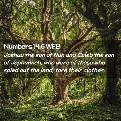 Picture 02 - Numbers 14:6 WEB - Joshua the son of Nun and Caleb the son of - Bible Verse Picture