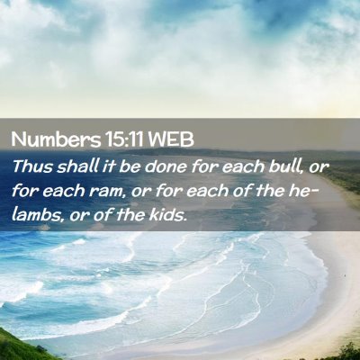 Picture 02 - Numbers 15:11 WEB - Thus shall it be done for each bull, or for each - Bible Verse Picture